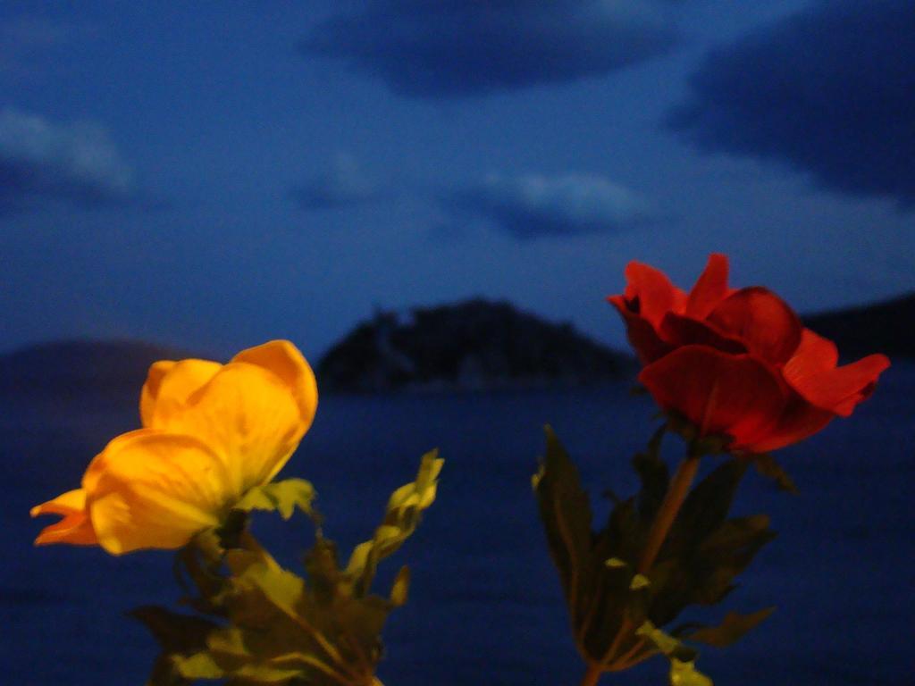 Santa Maria Hotel Tolón Dış mekan fotoğraf